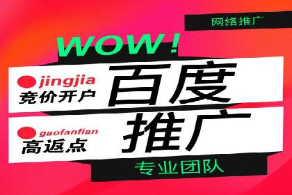 实战技巧：竞价推广案例解析与效果评估